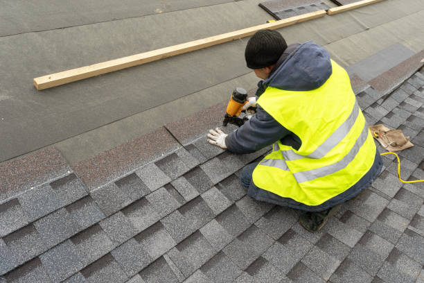 Best Roof Gutter Cleaning  in Buena Vista, MI