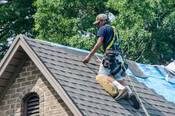 Best Local Roofing Companies  in Buena Vista, MI
